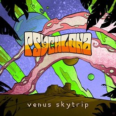 Psychlona Artist Vinyl 비닐 LP 레코드 Venus Skytrip 미국 발송, Psychlona Artist Vinyl 비닐 LP 레