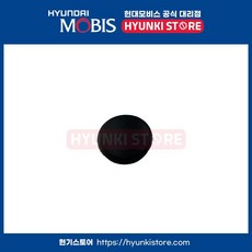 캡윈드쉴드 와이퍼 암 (9838007000)