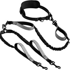 젬버트 튼튼한 줄꼬임 방지 강아지 두마리 산책 핸즈프리 리드줄, 블랙, 1개