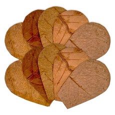 레이온버트 리프 시리즈(알몬드잎) XL, 30g, 1개