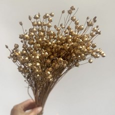 零手作 相思豆 永生花 金色/銀色花材 一束約40-50g, 【金色】一束約40-50g
