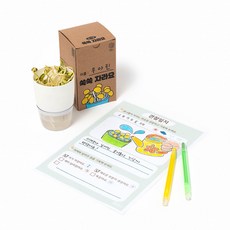 쉽게 키우는 콩나물 키우기 키트(관찰일지 포함), 1개