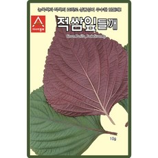 아시아종묘 적쌈잎들깨 씨앗 10g 적색 잎들깨씨 종자, 1개