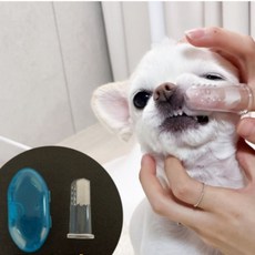 색랜덤 1개 강아지용 칫솔+케이스 세트 양치 손가락_ 2026756EA, 1