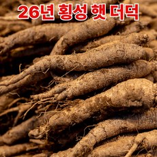 [산지직송] 국산 더덕 강원도 횡성더덕, 1박스, 1kg 흙더덕 (중)