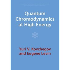 Quantum Chromodynamics at High Energy, 1個