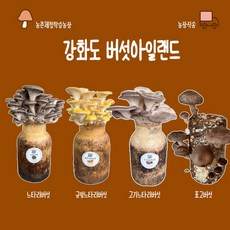 버섯키우기, 금빛+느타리+흰타리+표고