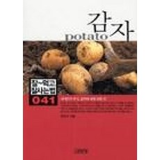 감자(잘먹고 잘사는 법 41)