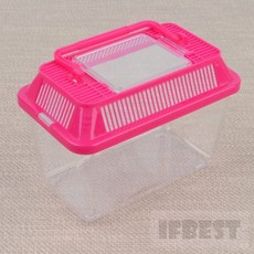 미니 곤충 채집통