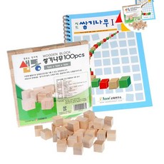 샘통 쌓기나무 1cm 100p(비취우드)와 교재1권