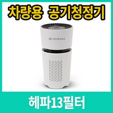 트리아이나 미니 차량용 공기정청기 TN-R25 헤파13필터, TN-R25+추가필터