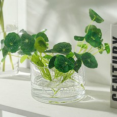 簡約玻璃花瓶 可水培鮮花, 1010木托花瓶 透明色