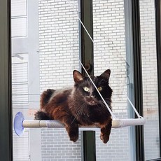 부착식 고양이 해먹 메쉬소재 공간절약 무타공 분리세탁 휴식처 흡착식