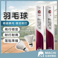 一桶裝實測羽毛球 初級鵝毛耐打軟木羽球 專業比賽訓練羽球, 1個