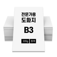 전문가용 도화지 220g 100매 흰색 B3