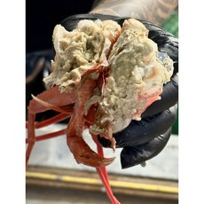 [하루수산] 수율90% 연지홍게 3+1kg!!!, 1박스, 가성비 연지홍게 3kg + 1kg