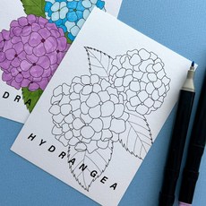 수국 꽃 쉬운 색칠 엽서 도안 편지쓰기, 1개