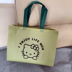 리유저블 방수 부직포 쇼핑백 큐티 KT 캣 부직포 쇼핑백, 연두색kt 40*30*10CM, 10개