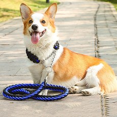 대형견 외출용 트위스트 로프 리드줄 세트 애견외출리드줄 1.25미터견줄 튼튼한애견목줄