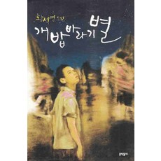 /상태중급/(중고)개밥바라기별 (단편) 황석영 문학동네 /일반소설/