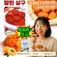 1000g AAA+ 특급 황금 무핵 무첨가 말린 살구 유기농말린살구 무설탕씨없는건살구, 1세트, 500g