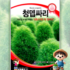 남흥원예사 청뎁싸리 1g 원예 관상 조경 화단 용 꽃 씨 씨앗 종자 세계종묘, 1개
