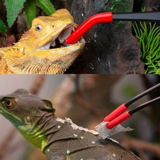 귀뚜라미 도마뱀 피딩 집게 핀셋 실리콘팁 16cm 25cm, B. 250cm