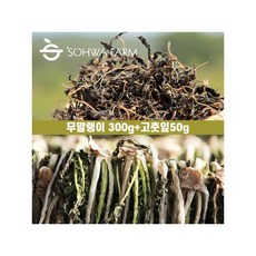 무말랭이300g+건고춧잎50g 무말랭이세트, 1개