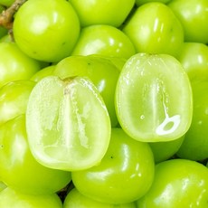 [26년햇수확] 초고당도 당도보장 샤인머스켓, 1박스, 800g (1수)
