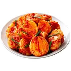 [HACCP] 당일제조 국내산 전라도식 양파김치, 1개, 1kg