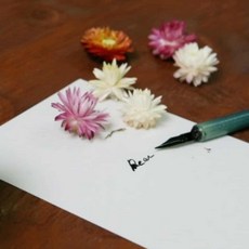 캘리그라피 엽서 (40장) 캘리그라피종이 캘리엽서 chl+5962EK