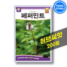 페퍼민트 씨앗 Peppermint 종자 허브 씨앗 허브키우기 종자, 1개