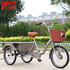 세발 자전거 짐칸 타이어 짐싣는 성인용 시골 장보기, 1개, 1cm, 20인치 쇼크 업소버 동양 + 선물 세트 B