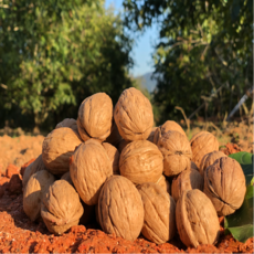 국내산 피호두 호두나무숲, 1개, [우수농산물인증] 피호두 중 사이즈1kg(84-89개)