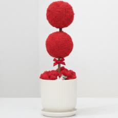 스칸디아모스 더블 플랜테리어 개업선물 집들이선물 실내 화분 식물, 1개, 레드