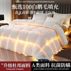 구스다운 호텔이불 구스다운호텔 이불 한파 겨울용침구이불 두꺼운따뜻한겨울 흰색거위 아래 호텔, C. 화이트 듀폰 항균(A타입)