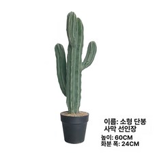 중형 인조 선인장 조화 실내 조경 화분 플랜테리어 인테리어, 1개, AR. 소형 단일손잡이 선인장 60cm