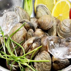 남해안 다이버 문어바지락 1kg 2kg 3kg 5kg, 1개, 활바지락 3kg