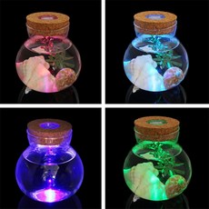 테라리엄 마리모 키우기 어항 LED 코르크 유리병 수경식물 수조 식물, 본상품