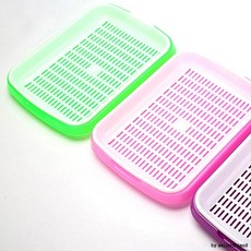 새싹 재배기x4개 33x24.5x4cm 플라스틱새싹재배기