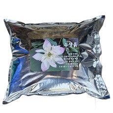 이삭 수생흙 (약 8L) - 수생식물 수생흙 수생 상토 황토, 1개, 8L