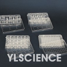 다용도홈판 (멸균) 낱개판매 6홀 12홀 24홀 96홀 (Cell Culture Plate) 세포배양판 멸균홈판, 24홀 1개
