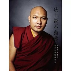 眾生出版 法王說不動佛 噶瑪巴鄔金欽列多傑 (2024年12月) ISBN 9789866091766