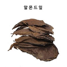 고운물 네츄럴 알몬드잎 5장 (새우가재 베타어항), 5개