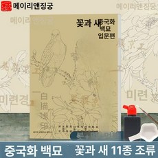 색칠북 따리기 꽃책 컬러링북 취미 수묵화 드로잉 어르신 색칠하기 그리기 교구 꽃과, 1개, 드로잉 입문 [새+화구]