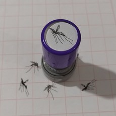 오르비 모기 도장 모기스탬프 장난감 장난 곤충도장, 죽은 모기 우표