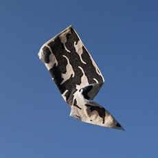 더블루프 : 40수 콤팩트 코마사 [스트레치 키티], 1개