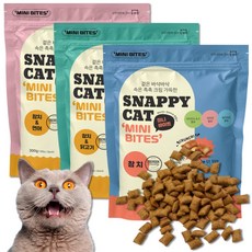 스내피캣 고양이 크런치 간식 미니바이트 대용량, 3개, 300g, 참치 연어 닭고기 3종 콤보