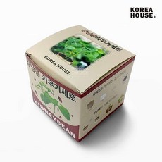 모종키우기 나만의텃밭만들기 강낭콩 키우기세트 새싹놀이 자연체험식물키트 식물성장관찰하기, 본품
