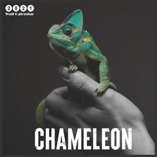 2021 chameleon: 2021 Wall & Office Calendar 12 Month Calendar Paperback, Independently Published, English, 9798695115574